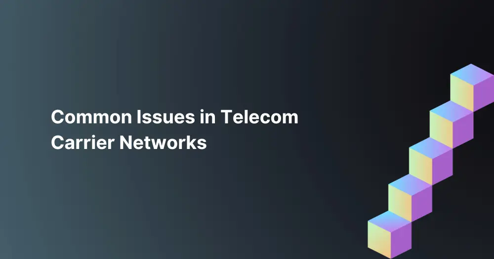 Common-Issues-in-Telecom-Carrier-Networks